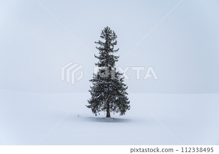 北海道美瑛的山丘風景 北海道美瑛的山丘風景 112338495