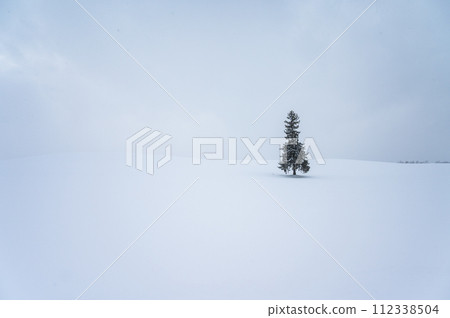 Scenery of the hills of Biei, Hokkaido 112338504