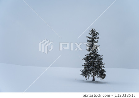 Scenery of the hills of Biei, Hokkaido Scenery of the hills of Biei, Hokkaido 112338515