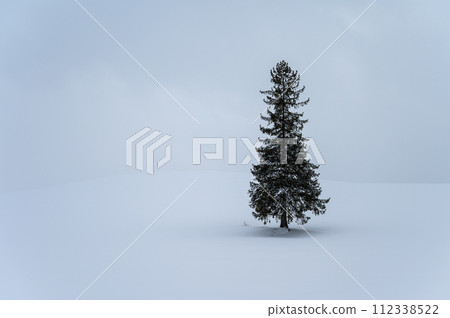 北海道美瑛的山丘風景 112338522