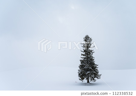 北海道美瑛的山丘風景 112338532