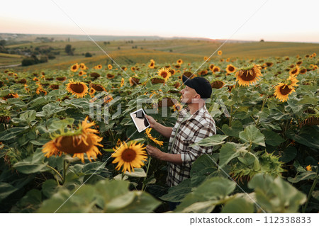 Smart farmer. Young agronomy is using smart digital tablet at sunflower field. Technology wireless device to study, research, examening or checking harvest. Innovation agriculture business. Smart farmer. Young agronomy is using smart digital tablet at sunflower field. Technology wireless device to study, research, examening or checking harvest. Innovation agriculture business. 112338833