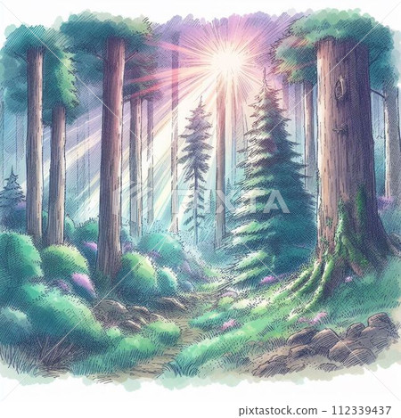 森林裡閃耀的陽光 112339437