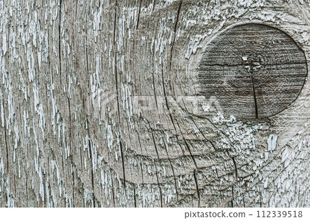 Texture of gray boards.Grey wood texture, wooden background. Wooden surface cut of tree knots 112339518