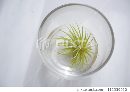 水培文化 112339930