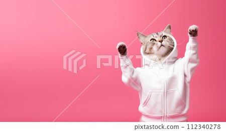 Fashion-forward cat in sunglasses and hoodie strikes a playful pose on a pink background, with ample space for your text 112340278