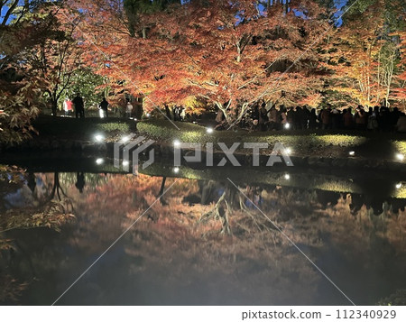 Autumn leaves reflected on the water 112340929