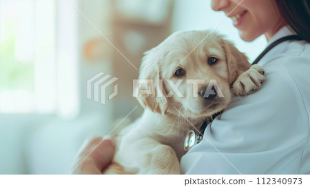 A caring veterinarian wearing scrubs is carefully holding a pet. 112340973