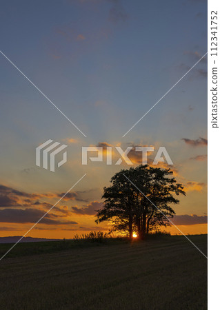 Landscape in a nature reserve Broumovske steny, eastern Bohemia, Czech Republic 112341752