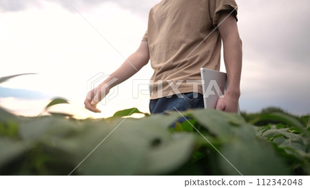farmer walking through the field. business farming and irrigation concept. a male farmer in a beige T-shirt walks among green plants in a field, holding a tablet in his hands lifestyle farmer walking through the field. business farming and irrigation concept. a male farmer in a beige T-shirt walks among green plants in a field, holding a tablet in his hands lifestyle 112342048
