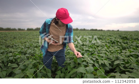 farm worker walks through the field. farming business and irrigation concept. a farmer in red cap and blue shirt with tablet in hand walks among the sprouts of a plant he grew in his field lifestyle farm worker walks through the field. farming business and irrigation concept. a farmer in red cap and blue shirt with tablet in hand walks among the sprouts of a plant he grew in his field lifestyle 112342058