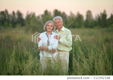 Beautiful senior couple relaxing and posing in the summer park Beautiful senior couple relaxing and posing in the summer park 112342186