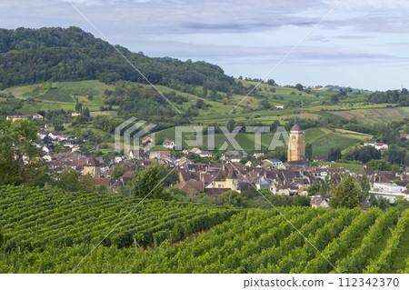 Vineyards with Arbois town, Department Jura, Franche-Comte, France 112342370