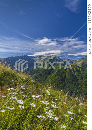 Landscape near Col d'Agnes, Department of Ariege, Pyrenees, France 112342399
