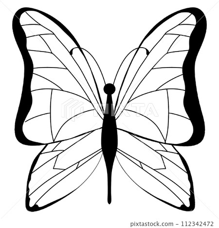 White Butterfly White Butterfly 112342472
