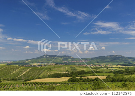 Vineyards under Palava,  Southern Moravia, Czech Republic 112342575