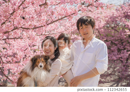 Family photo taken under the cherry blossoms Family photo taken under the cherry blossoms 112342655
