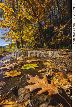 Typical autumn landscape in Trebonsko region near Trebon city in Southern Bohemia, Czech Republic Typical autumn landscape in Trebonsko region near Trebon city in Southern Bohemia, Czech Republic 112342948