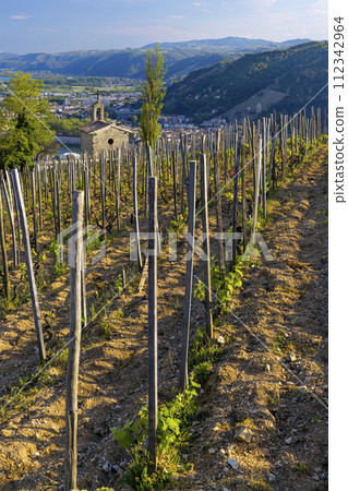 Grand cru vineyard and Chapel of Saint Christopher, Tain l'Hermitage, Rhone-Alpes, France Grand cru vineyard and Chapel of Saint Christopher, Tain l'Hermitage, Rhone-Alpes, France 112342964