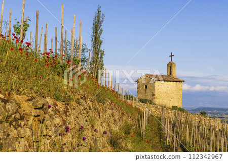 Grand cru vineyard and Chapel of Saint Christopher, Tain l'Hermitage, Rhone-Alpes, France Grand cru vineyard and Chapel of Saint Christopher, Tain l'Hermitage, Rhone-Alpes, France 112342967