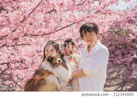 Family photo taken under the cherry blossoms Family photo taken under the cherry blossoms 112343005