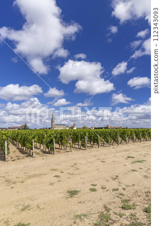 Typical vineyards near Pomerol, Aquitaine, France Typical vineyards near Pomerol, Aquitaine, France 112343093