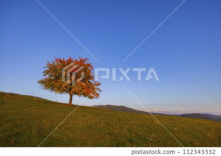 Carpathian mountains landscape, Eastern Slovakia Carpathian mountains landscape, Eastern Slovakia 112343332