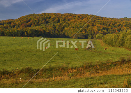 Carpathian mountains landscape, Eastern Slovakia 112343333