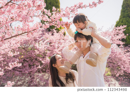 Family photo taken under the cherry blossoms Family photo taken under the cherry blossoms 112343498