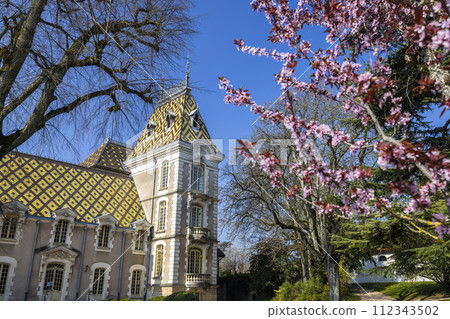Chateau Aloxe-Corton (castle), Burgundy, France 112343502