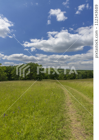 National nature reservation Vojsicke louky near Lucina,  White Carpathians, Czech Republic 112343689