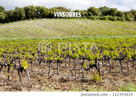 vineyards near Vinsobres, France 112343814