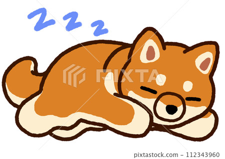 睡覺的Shiba Inu 112343960