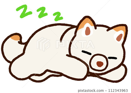 sleeping white shiba 112343963