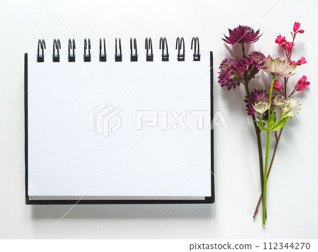 Blank notepad page for congratulatory inscriptions. Day light Blank notepad page for congratulatory inscriptions. Day light 112344270