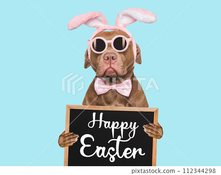Happy Easter. Lovable, pretty dog and a sign 112344298
