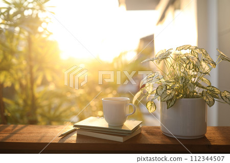Coffee cup and and Angel wings plant on wooden table under sunlight Coffee cup and and Angel wings plant on wooden table under sunlight 112344507