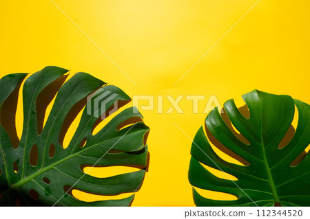 Tropical leaves and flowers over green background, summer background with copy space 112344520