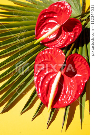 tropical leaves greenery 112344532