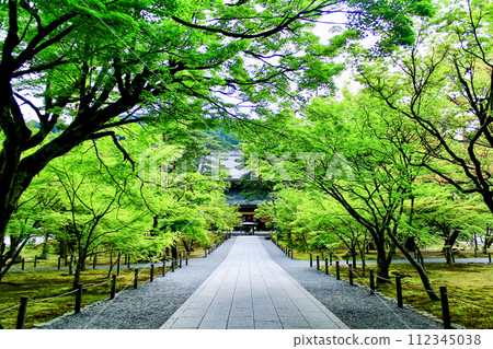【京都】春天的南禪寺,清晨從三門前看到的法堂 【京都】春天的南禪寺,清晨從三門前看到的法堂 112345038