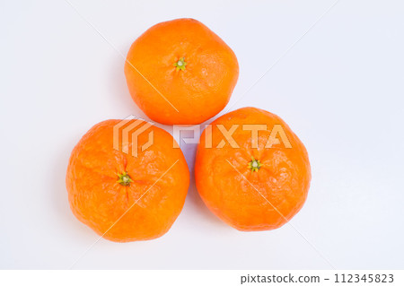 Kanpei photographed against a white background Kanpei photographed against a white background 112345823