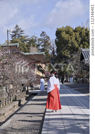 Tenjin (Kitano Tenmangu Shrine) Shrine Maiden Vertical Composition 3 Tenjin (Kitano Tenmangu Shrine) Shrine Maiden Vertical Composition 3 112346401