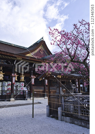 天神先生(北野天滿宮)正殿與飛梅垂直構圖10 天神先生(北野天滿宮)正殿與飛梅垂直構圖10 112346563