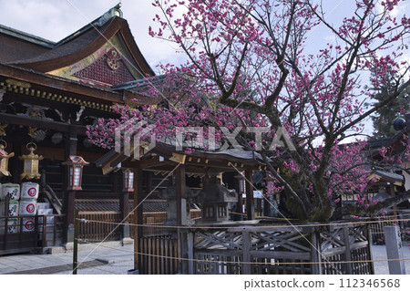 天神山(北野天滿宮)主殿與飛梅水平構圖 5 天神山(北野天滿宮)主殿與飛梅水平構圖 5 112346568