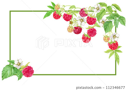 Rectangular horizontal frame with raspberry branches. Place for an inscription. Watercolor illustration. Ripe berries for decorating cookbooks, recipes, kitchen utensils, dishes, food packaging. 112346677