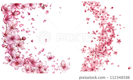Nice Sakura Blossom Petals Wedding Border 112348586