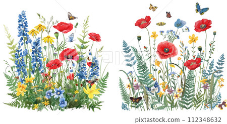 Red poppies, cornflowers, forget-me-nots, yellow buttercups, ferns, butterflies, bees 112348632