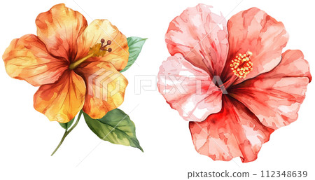 Vector watercolor painted flower Vector watercolor painted flower 112348639