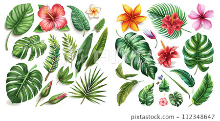 Vector realistic illustration set of tropical leaves and flowers 112348647