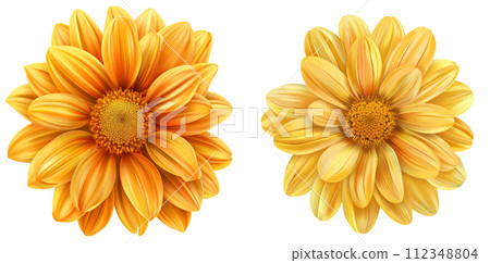 Chrysanthemum vector 112348804